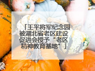 王平将军纪念园被湖北省老区建设促进会授予“老区精神教育基地”