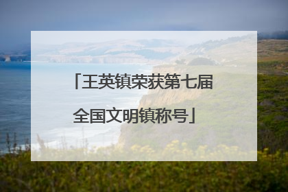 王英镇荣获第七届全国文明镇称号