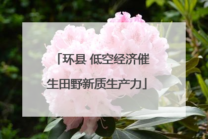环县 低空经济催生田野新质生产力