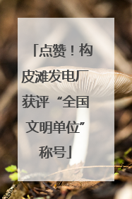 点赞！构皮滩发电厂获评“全国文明单位”称号