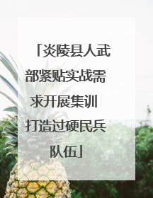 炎陵县人武部紧贴实战需求开展集训 打造过硬民兵队伍