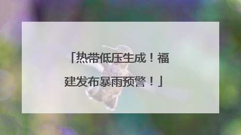 热带低压生成！福建发布暴雨预警！