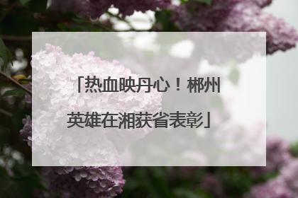 热血映丹心！郴州英雄在湘获省表彰