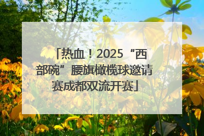 热血！2025“西部碗”腰旗橄榄球邀请赛成都双流开赛