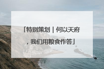 特别策划｜何以天府，我们用粮食作答