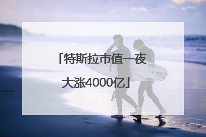 特斯拉市值一夜大涨4000亿