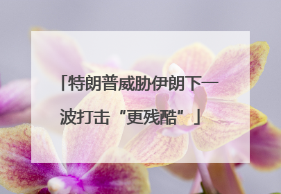 特朗普威胁伊朗下一波打击“更残酷”