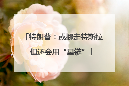 特朗普：或挪走特斯拉 但还会用“星链”