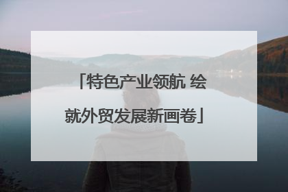 特色产业领航 绘就外贸发展新画卷