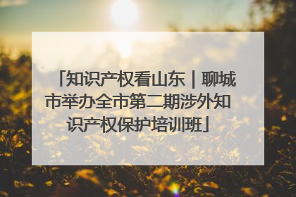知识产权看山东｜聊城市举办全市第二期涉外知识产权保护培训班