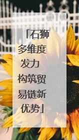 石狮多维度发力 构筑贸易链新优势