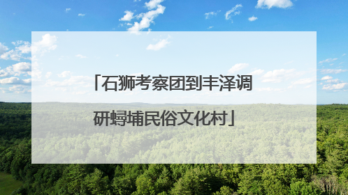 石狮考察团到丰泽调研蟳埔民俗文化村