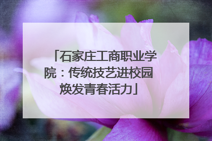 石家庄工商职业学院：传统技艺进校园焕发青春活力