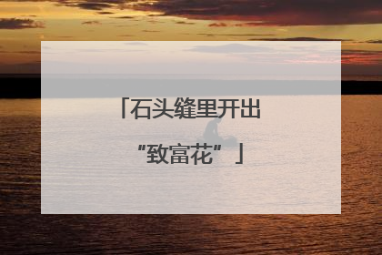 石头缝里开出“致富花”