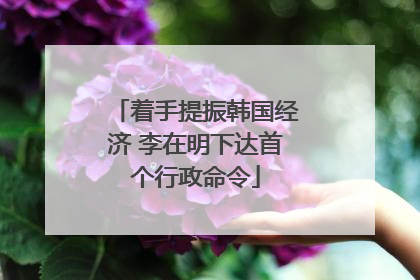 着手提振韩国经济 李在明下达首个行政命令