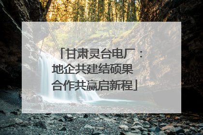 甘肃灵台电厂：地企共建结硕果 合作共赢启新程