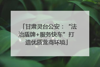 甘肃灵台公安：“法治盾牌+服务快车”打造优质营商环境