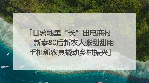 甘薯地里“长”出电商村——新泰80后新农人张甜甜用手机新农具撬动乡村振兴
