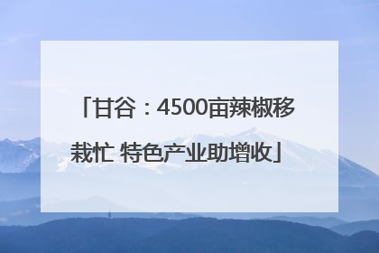 甘谷：4500亩辣椒移栽忙 特色产业助增收