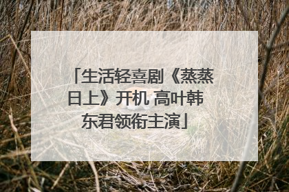 生活轻喜剧《蒸蒸日上》开机 高叶韩东君领衔主演