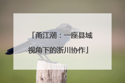 甬江潮：一座县域视角下的浙川协作
