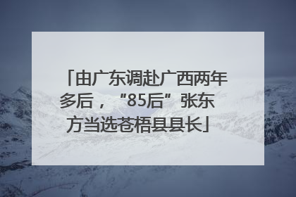 由广东调赴广西两年多后，“85后”张东方当选苍梧县县长