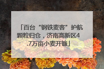 百台“钢铁麦客”护航颗粒归仓，济南高新区4.7万亩小麦开镰