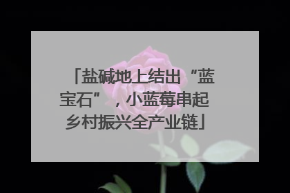 盐碱地上结出“蓝宝石”，小蓝莓串起乡村振兴全产业链