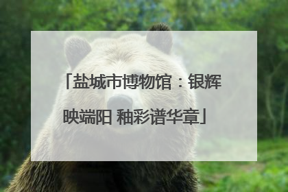 盐城市博物馆：银辉映端阳 釉彩谱华章