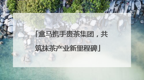 盒马携手贵茶集团，共筑抹茶产业新里程碑