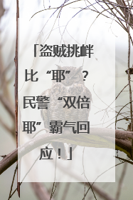 盗贼挑衅比“耶”？民警“双倍耶”霸气回应！