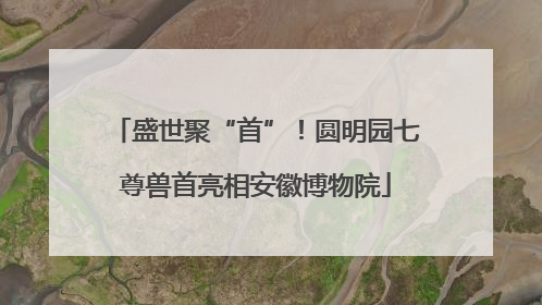 盛世聚“首”！圆明园七尊兽首亮相安徽博物院
