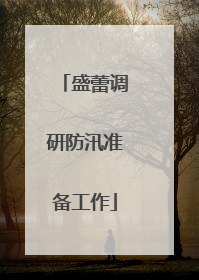 盛蕾调研防汛准备工作