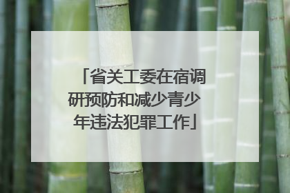 省关工委在宿调研预防和减少青少年违法犯罪工作