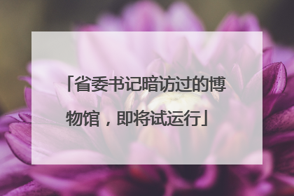 省委书记暗访过的博物馆，即将试运行