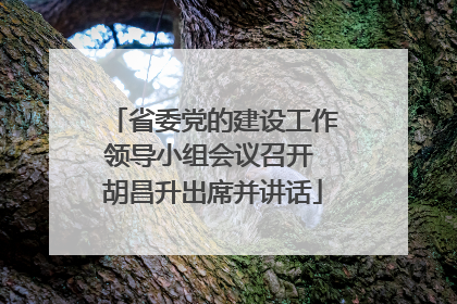 省委党的建设工作领导小组会议召开 胡昌升出席并讲话