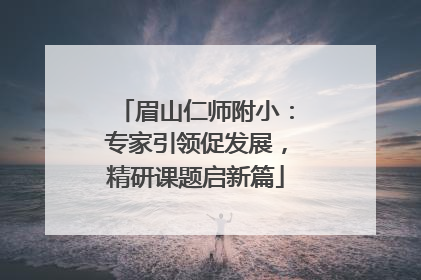 眉山仁师附小：专家引领促发展，精研课题启新篇