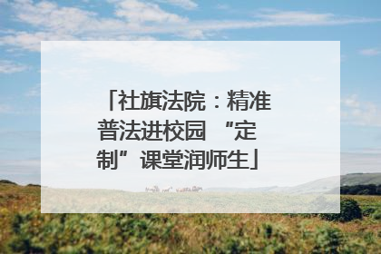 社旗法院：精准普法进校园 “定制”课堂润师生