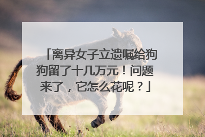 离异女子立遗嘱给狗狗留了十几万元！问题来了，它怎么花呢？