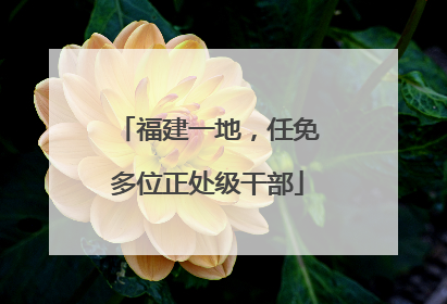 福建一地，任免多位正处级干部