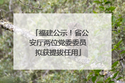 福建公示！省公安厅两位党委委员拟获提拔任用