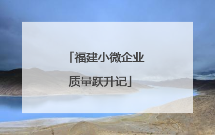 福建小微企业质量跃升记