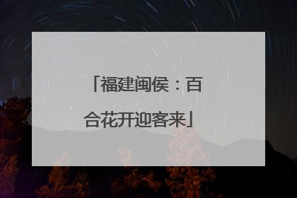 福建闽侯：百合花开迎客来