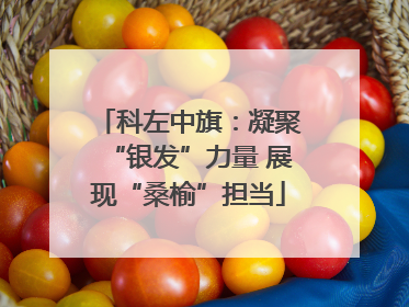 科左中旗：凝聚“银发”力量 展现“桑榆”担当