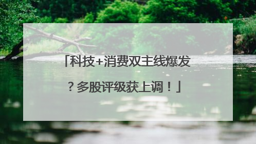 科技+消费双主线爆发？多股评级获上调！