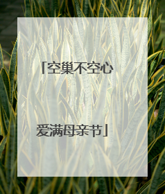 空巢不空心 爱满母亲节