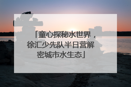 童心探秘水世界，徐汇少先队半日营解密城市水生态