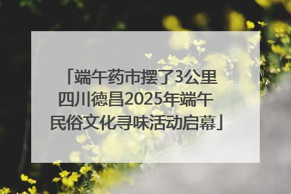 端午药市摆了3公里 四川德昌2025年端午民俗文化寻味活动启幕