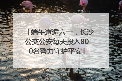 端午邂逅六一，长沙公交公安每天投入800名警力守护平安