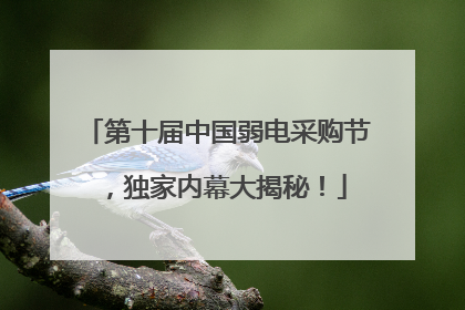 第十届中国弱电采购节，独家内幕大揭秘！